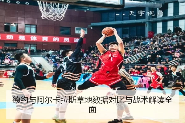德约与阿尔卡拉斯草地数据对比与战术解读全面