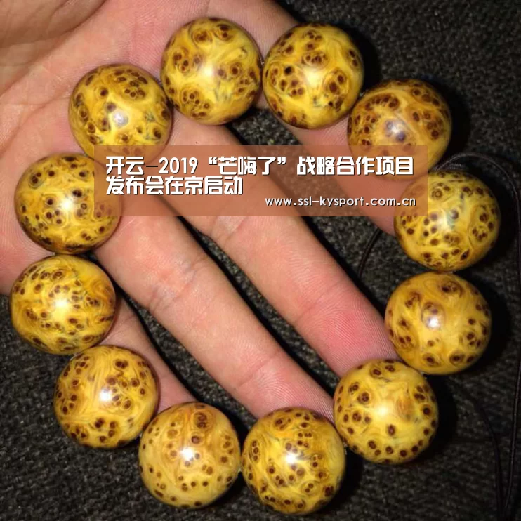 开云-2019“芒嗨了”战略合作项目发布会在京启动