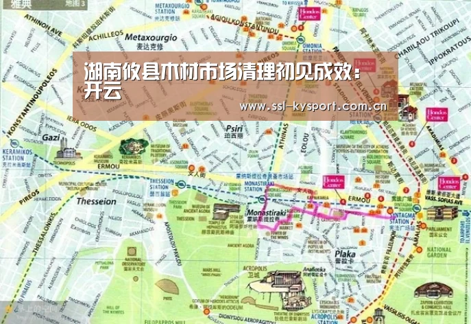 湖南攸县木材市场清理初见成效:开云(图4) 开云体育